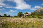 Il mio Trentino Il mio Trentino