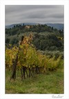 Valli Toscane Valli Toscane