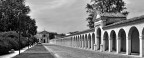 Il ritorno Il ritorno