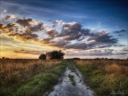 Strade di campagna Strade di campagna