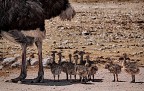 Ok, mamma, siamo pronti!