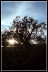 un raggio di sole...