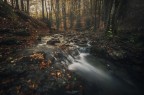 Dove nasce l'Aveto Dove nasce l'Aveto