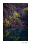 L'abbraccio dell'autunno L'abbraccio dell'autunno