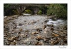 Nel torrente Nel torrente