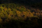 Colori dell'Autunno ... Mugello