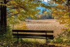 Si apre il sipario: l'autunno. Si apre il sipario: l'autunno.