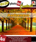 137� Contest: Autunno
