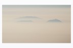 Profili euganei tra le nebbia Profili euganei tra le nebbia