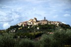 Citanoalta Citanoalta