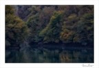 L'autunno al risveglio L'autunno al risveglio