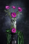 Un fiore per te Un fiore per te