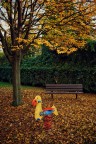 L'autunno senza di noi L'autunno senza di noi