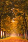 Autunno al Parco di Monza Autunno al Parco di Monza