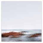 MARE MARE
