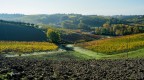 Vigneti toscani.2 Vigneti toscani.2