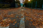 Il viale di Caslano Il viale di Caslano