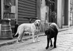 Black and white Black and white