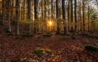 Autunno al tramonto Autunno al tramonto
