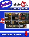 137� Contest: Autunno Votazione in corso