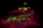 Autumn Autumn