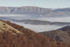 CampoStaffi_Nov2020 CampoStaffi_Nov2020