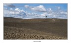 Paesaggio toscano Paesaggio toscano