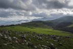Artena_Dic2020 Artena_Dic2020
