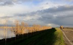 passeggiando al tramonto... passeggiando al tramonto...