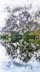 Narcisismo montano Narcisismo montano