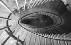 Spirale Spirale