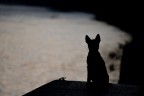 Prima del tramonto Prima del tramonto