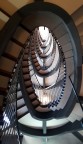 Spirale in rosa Spirale in rosa