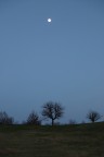Winter evening Winter evening