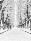 Passeggiando sotto la neve Passeggiando sotto la neve