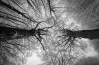 verso il cielo verso il cielo
