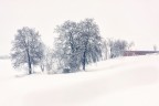 Let it snow! Let it snow!