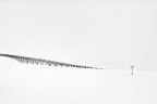 Let it snow! #4 Let it snow! #4