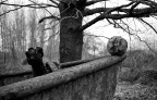 palloni ... sgonfiati ;/) palloni ... sgonfiati ;/)