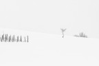 Let it snow! #6 Let it snow! #6