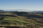 Le colline iniziano a dipingersi di verde.. Le colline iniziano a dipingersi di verde..