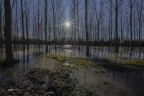 La pioppeta..allagata.