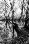 Lungo il Fiume Lungo il Fiume