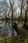 Lungo il Fiume... a colori... Lungo il Fiume... a colori...