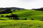 Primi segni di primavera Primi segni di primavera