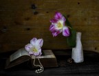 collana di perle... collana di perle...
