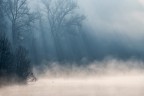Fog Fog