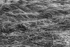 Onde Onde