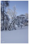 Il peso della neve... Il peso della neve...