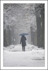 il puro silenzio che avvolge il bianco neve il puro silenzio che avvolge il bianco neve